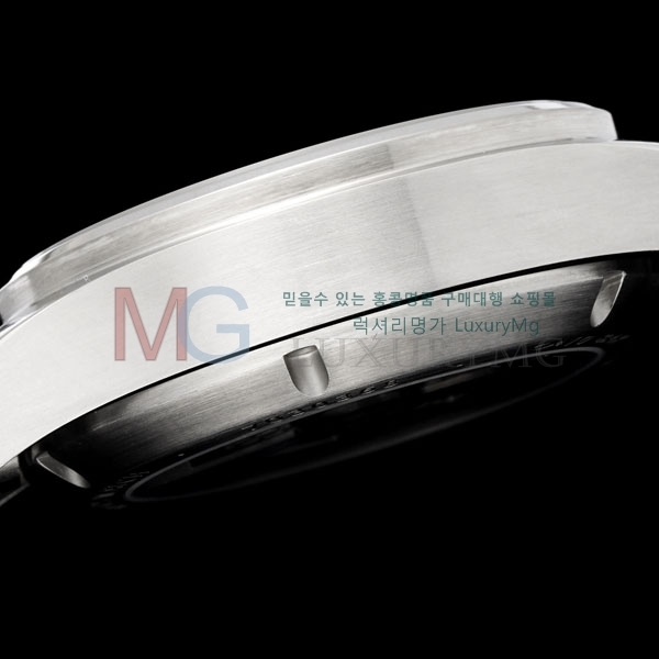  ̴ ƽ ð W699300-2 (41mm)