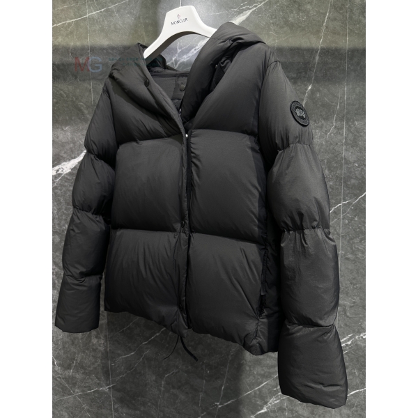  ĳٱ Rhoda ĵ Ʈ ٿе GF288781-1