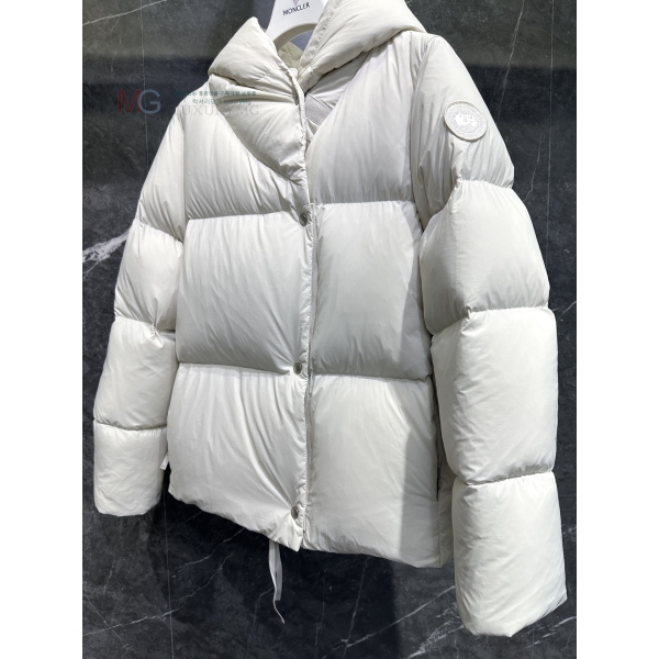  ĳٱ Rhoda ĵ Ʈ ٿе GF288781-2