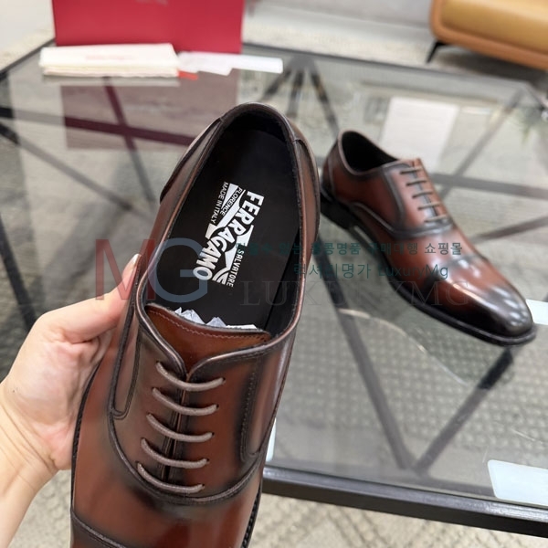 ���� �䷹���� ���� FO360222-1