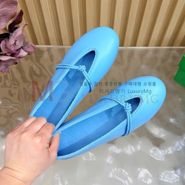 ���� ���װ�����Ÿ �÷����� BV5829348-1