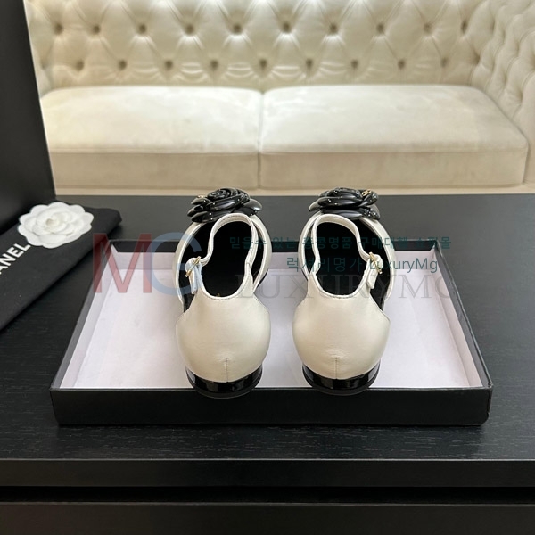 ���� ��*  �÷� ���� 3A7113328-4