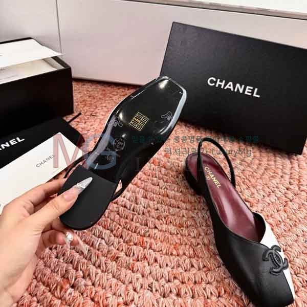 ��* ���� ���� A580902-1