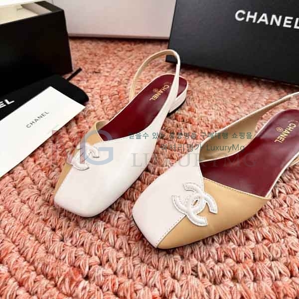 ��* ���� ���� A580902