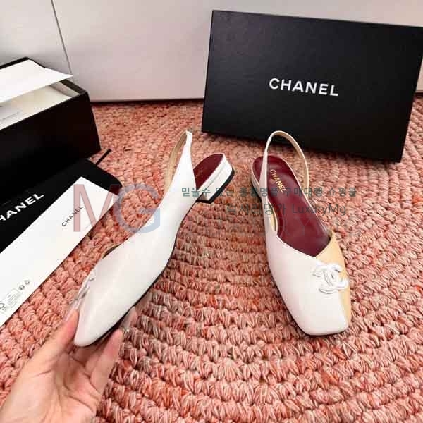 ��* ���� ���� A580902