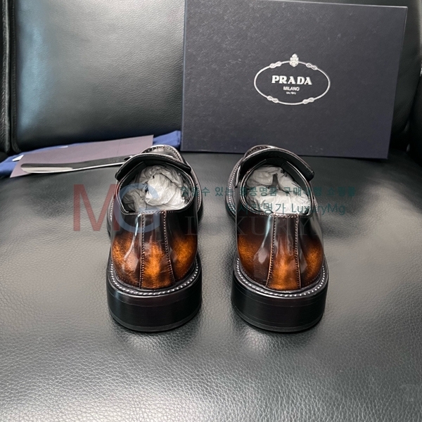 ���� ����� ���� PA506650-2